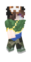 Skin preview
