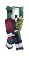Skin preview