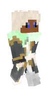 Skin preview