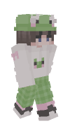 Skin preview