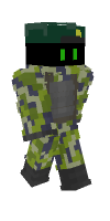 Skin preview