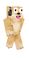Skin preview