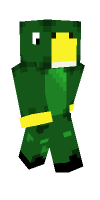 Skin preview