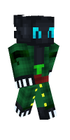 Skin preview