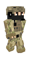 Skin preview