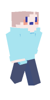 Skin preview