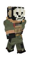 Skin preview