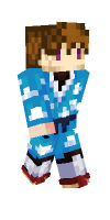 Skin preview