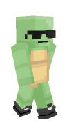 Skin preview