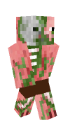 Skin preview