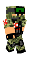 Skin preview