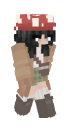 Skin preview