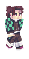 Skin preview