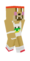 Skin preview