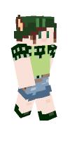 Skin preview