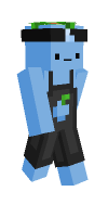 Skin preview