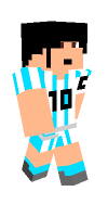 Skin preview