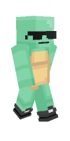 Skin preview