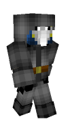 Skin preview