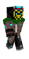 Skin preview
