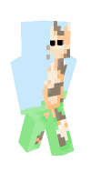 Skin preview