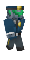 Skin preview