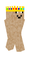 Skin preview