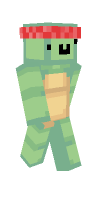 Skin preview