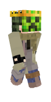 Skin preview