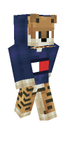 Skin preview