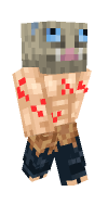 Skin preview
