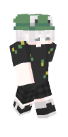 Skin preview