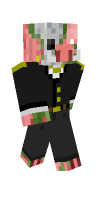 Skin preview