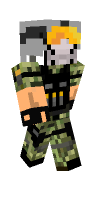 Skin preview