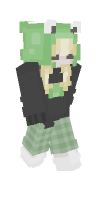 Skin preview