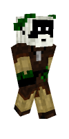 Skin preview