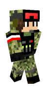 Skin preview