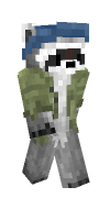 Skin preview