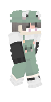 Skin preview