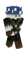 Skin preview