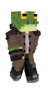 Skin preview