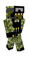 Skin preview