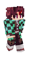 Skin preview