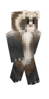 Skin preview