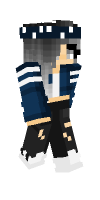 Skin preview