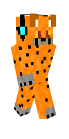 Skin preview