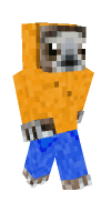Skin preview