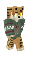 Skin preview