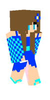 Skin preview