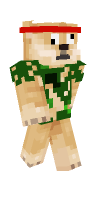 Skin preview